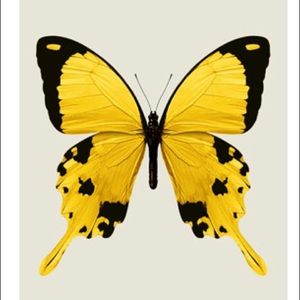 Meet your Posher, Bella